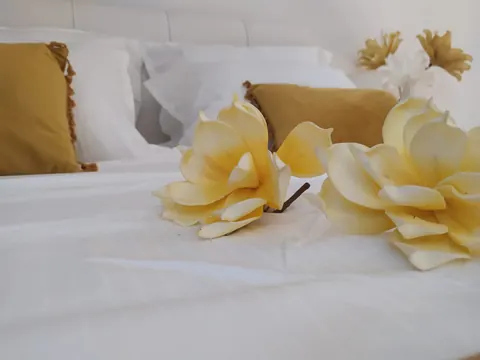 Camera: dettaglio cuscini e fiori decorativi