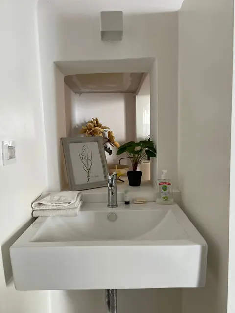 Lavabo in nicchia con piante e asciugamani