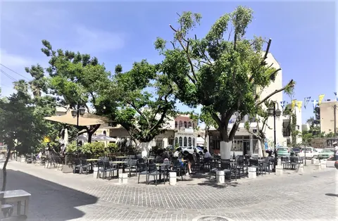 Dintorni: piazza alberata con tavoli di caffè